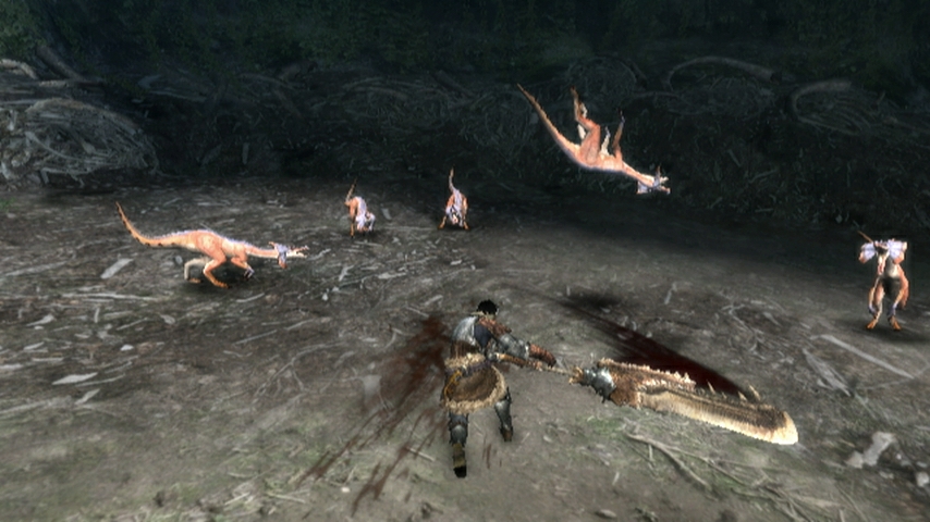 Monster Hunter Tri (3)